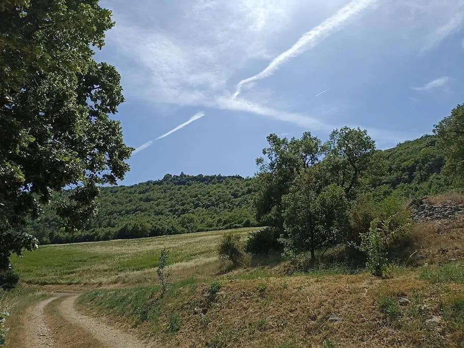 Gite Avec Piscine 